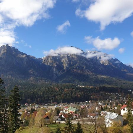 Vila Alunis Buşteni Exteriör bild