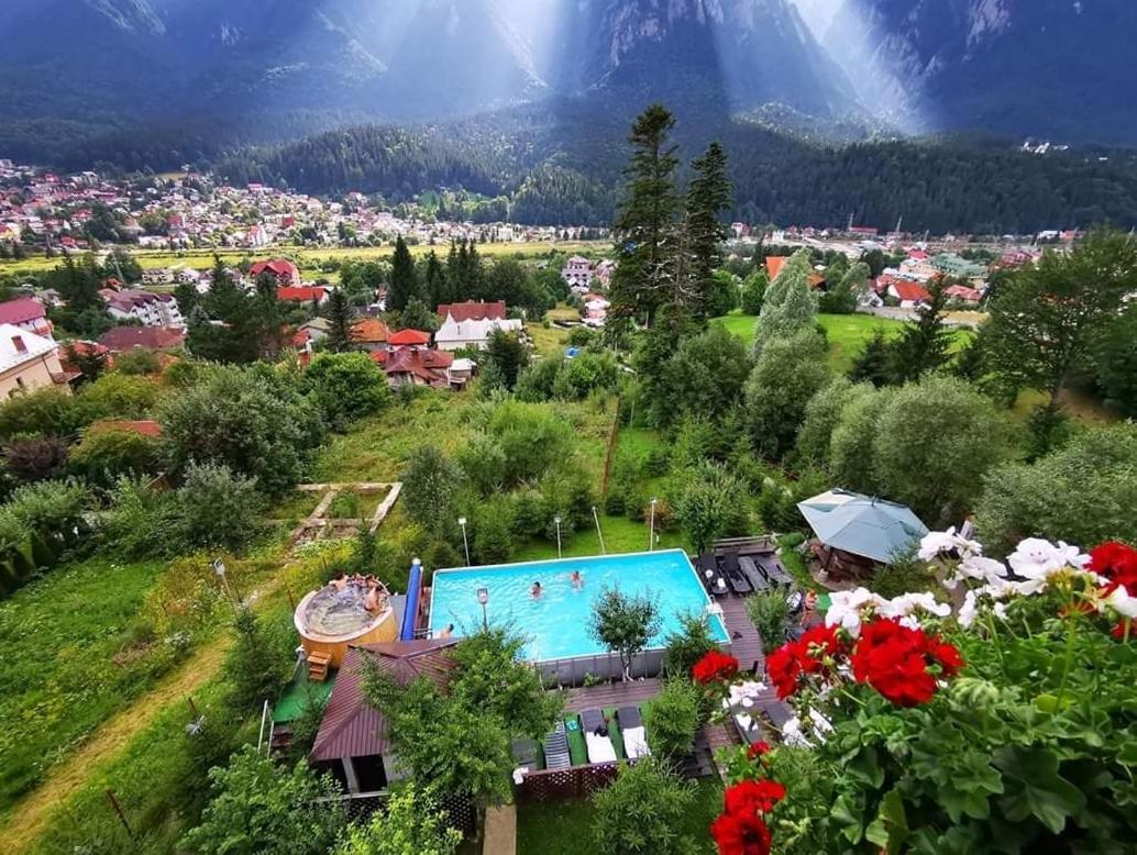 Vila Alunis Buşteni Exteriör bild