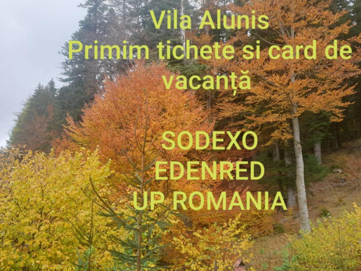 Vila Alunis Buşteni Exteriör bild