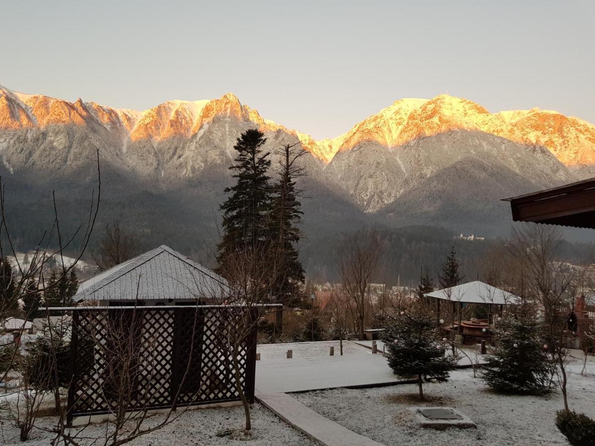 Vila Alunis Buşteni Exteriör bild