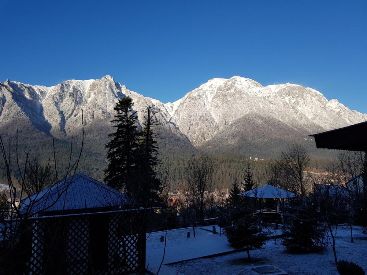 Vila Alunis Buşteni Exteriör bild