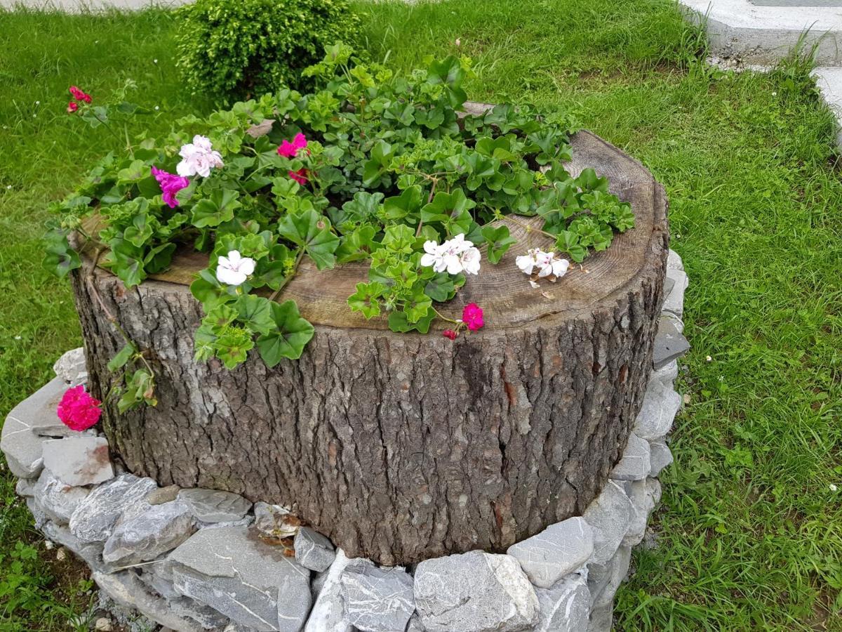Vila Alunis Buşteni Exteriör bild