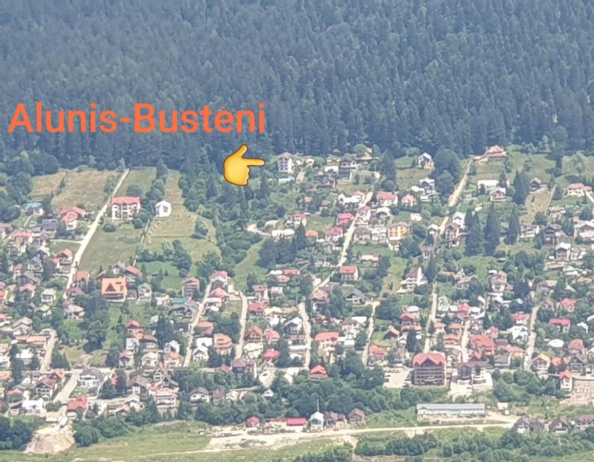 Vila Alunis Buşteni Exteriör bild
