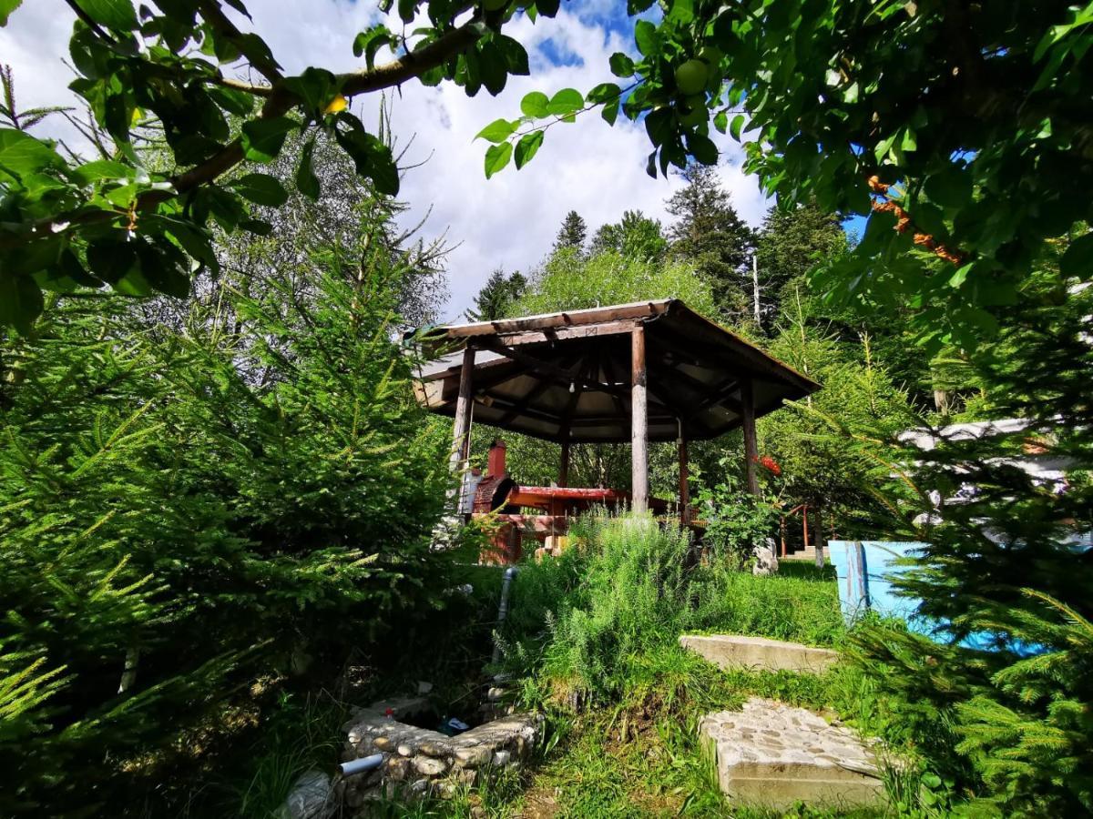 Vila Alunis Buşteni Exteriör bild