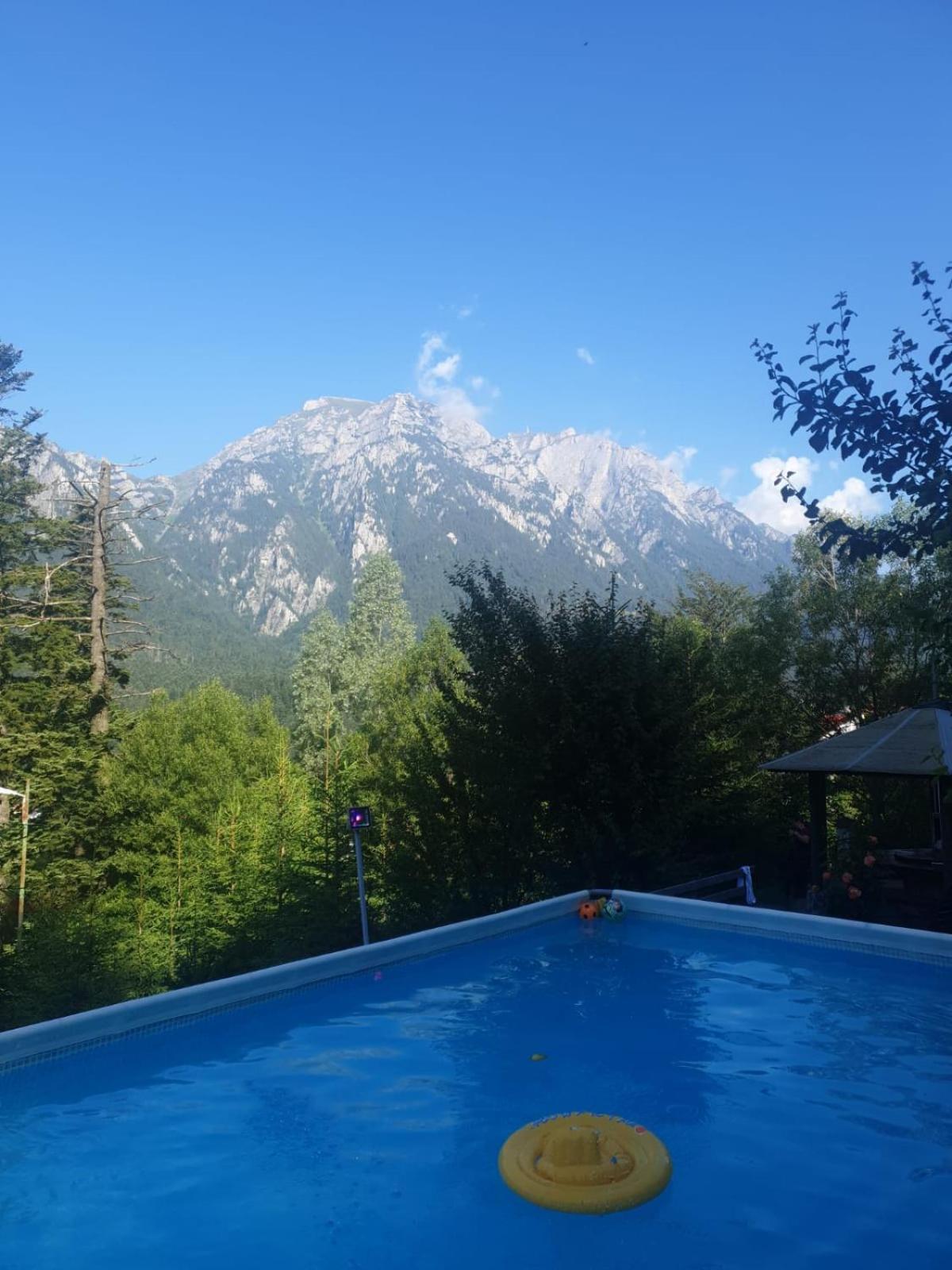 Vila Alunis Buşteni Exteriör bild