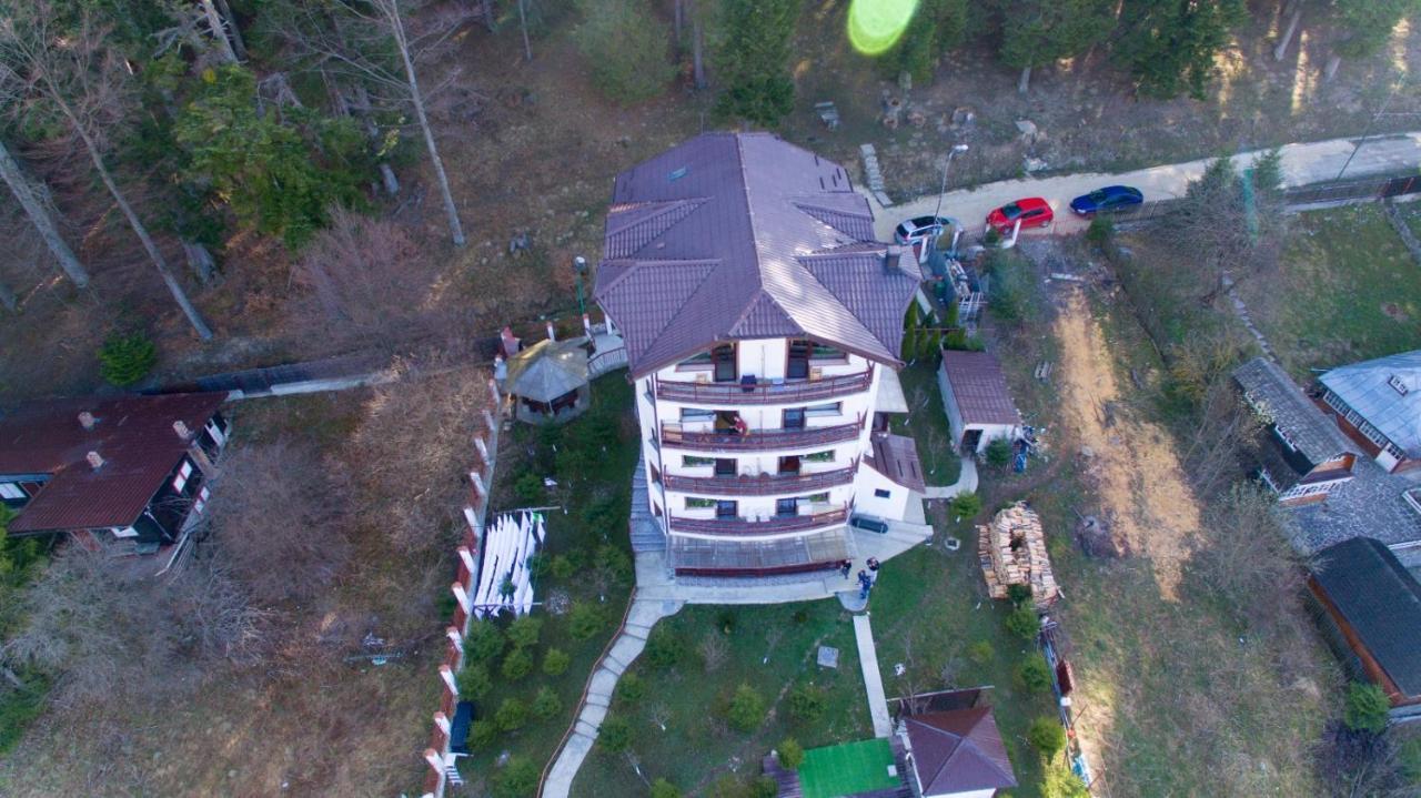 Vila Alunis Buşteni Exteriör bild
