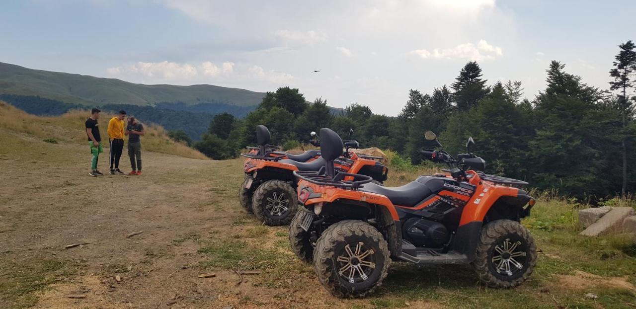 Vila Alunis Buşteni Exteriör bild