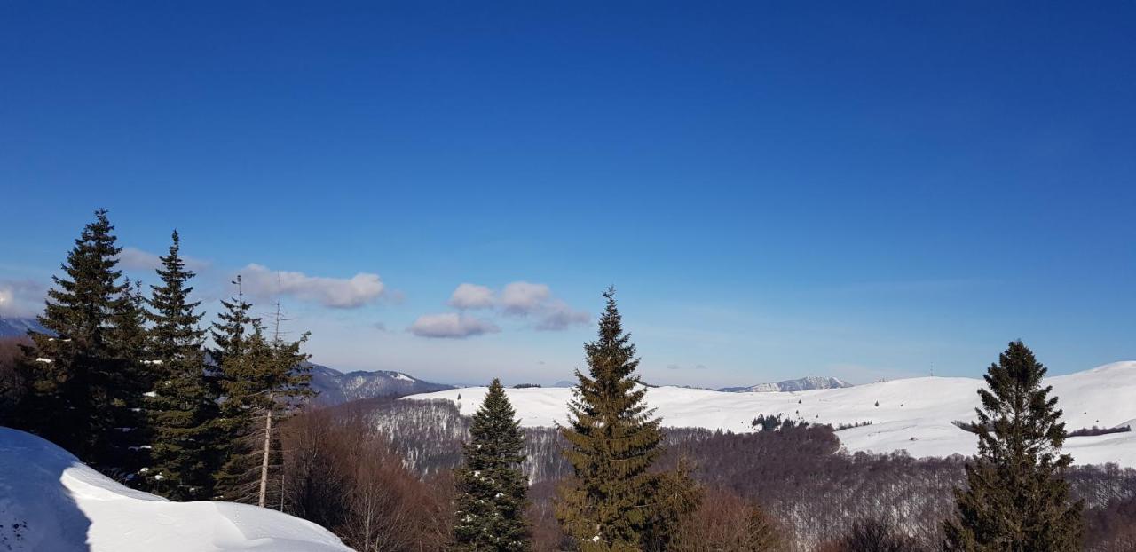 Vila Alunis Buşteni Exteriör bild