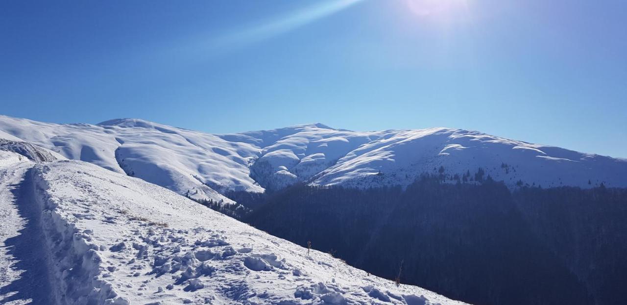Vila Alunis Buşteni Exteriör bild