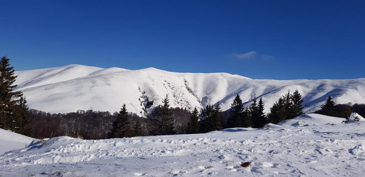Vila Alunis Buşteni Exteriör bild