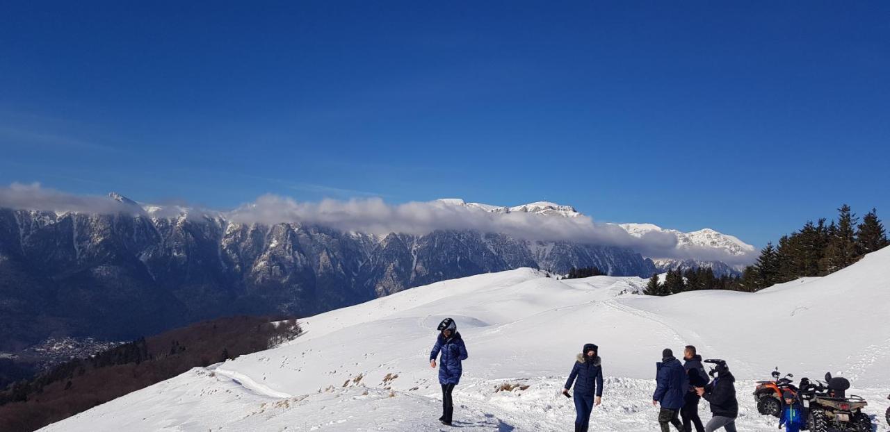 Vila Alunis Buşteni Exteriör bild