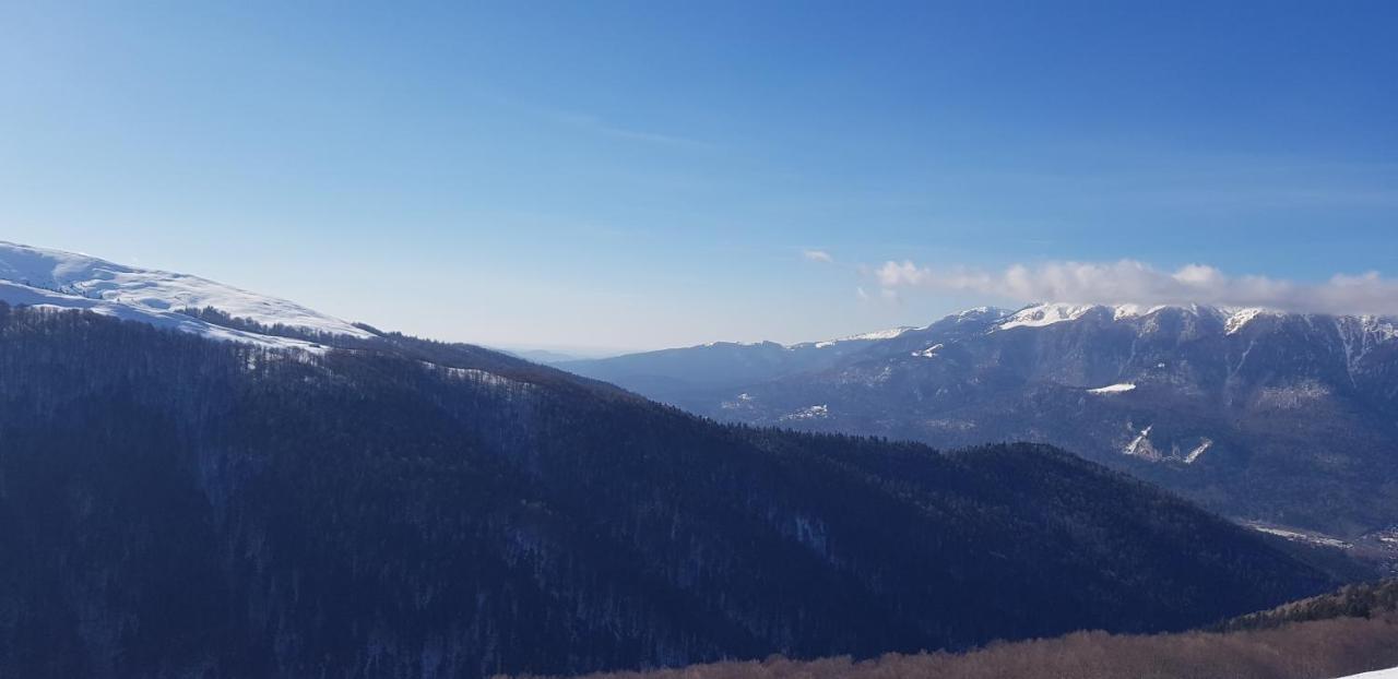 Vila Alunis Buşteni Exteriör bild