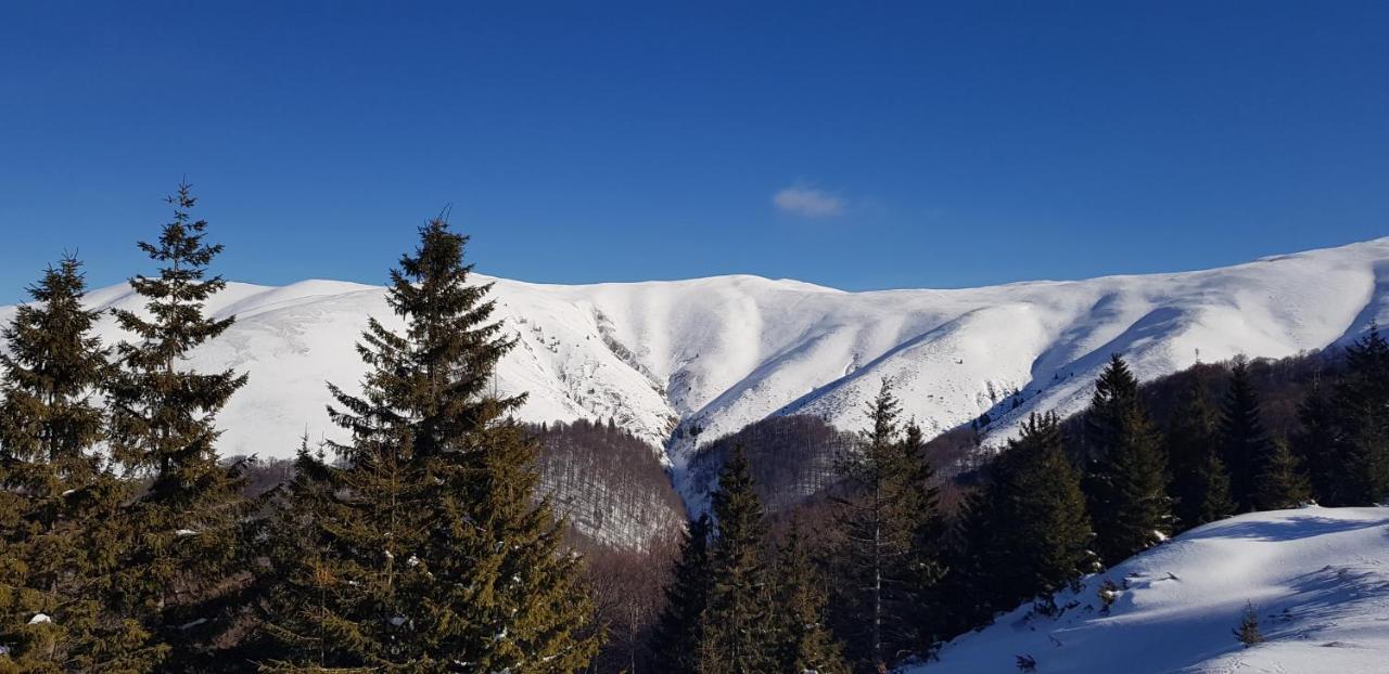 Vila Alunis Buşteni Exteriör bild
