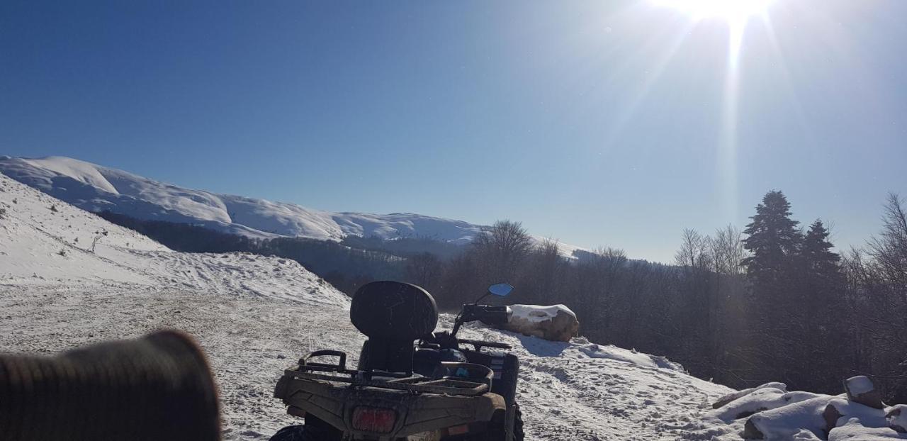 Vila Alunis Buşteni Exteriör bild