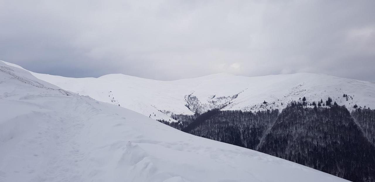 Vila Alunis Buşteni Exteriör bild