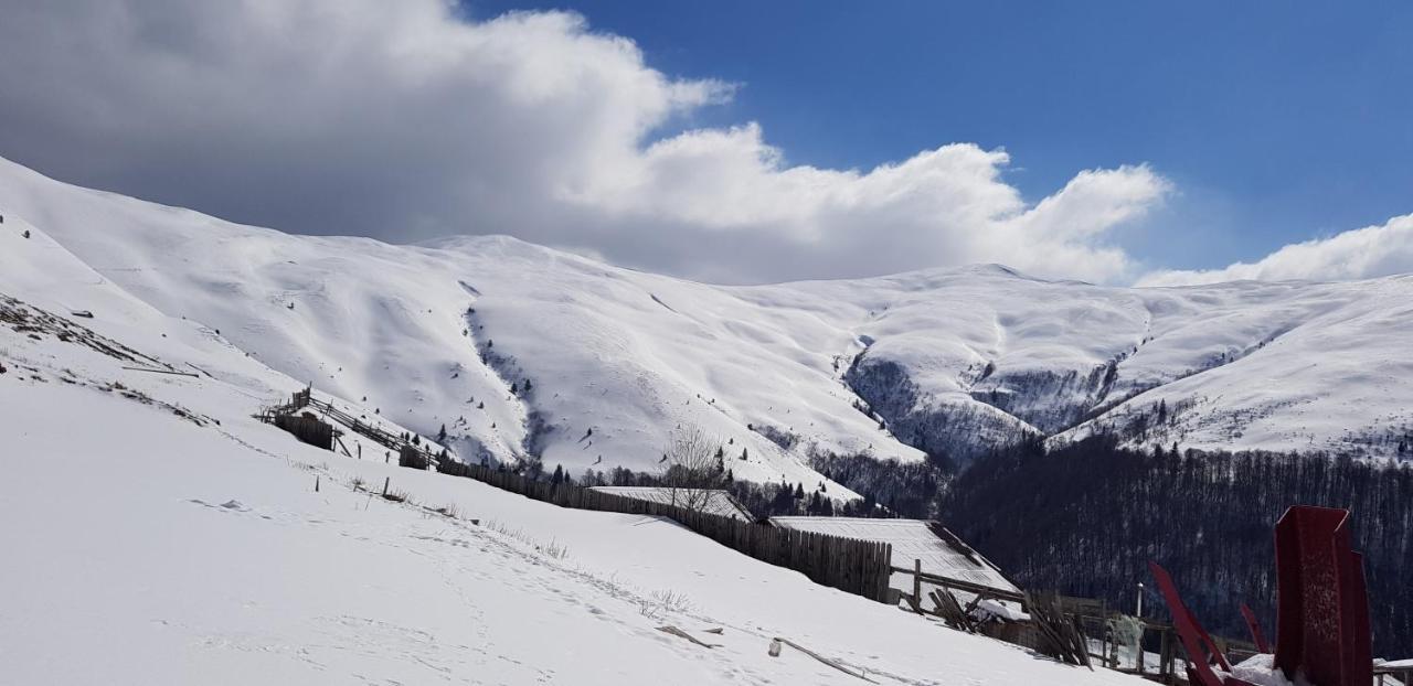 Vila Alunis Buşteni Exteriör bild