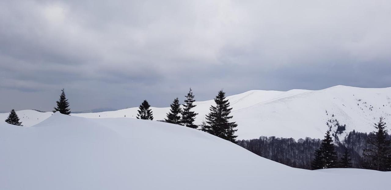 Vila Alunis Buşteni Exteriör bild