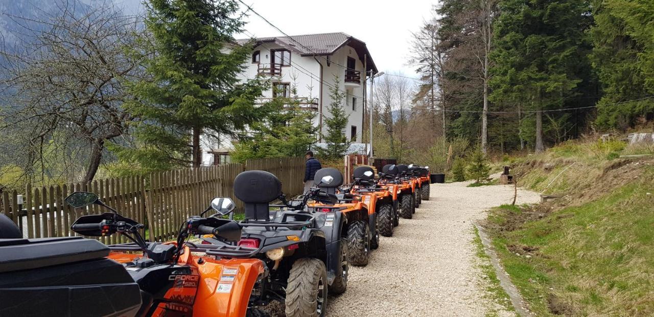 Vila Alunis Buşteni Exteriör bild