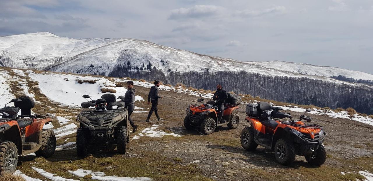 Vila Alunis Buşteni Exteriör bild