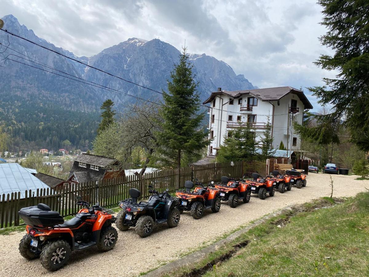 Vila Alunis Buşteni Exteriör bild