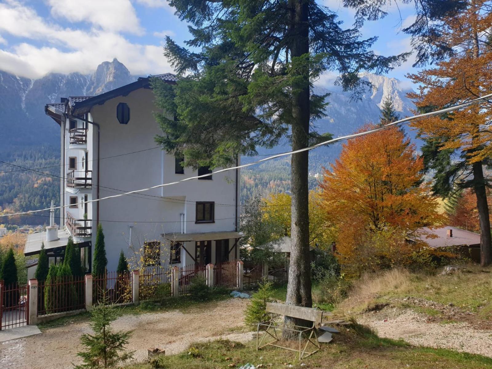 Vila Alunis Buşteni Rum bild