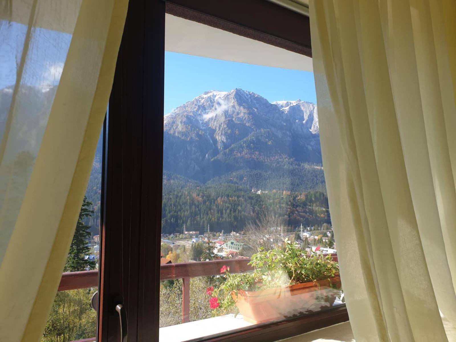 Vila Alunis Buşteni Exteriör bild