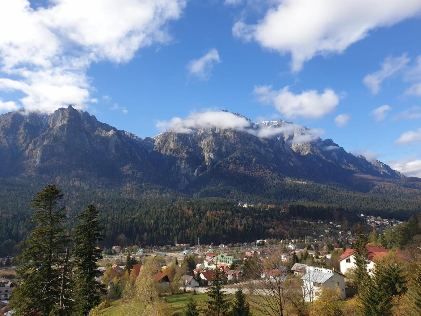 Vila Alunis Buşteni Exteriör bild