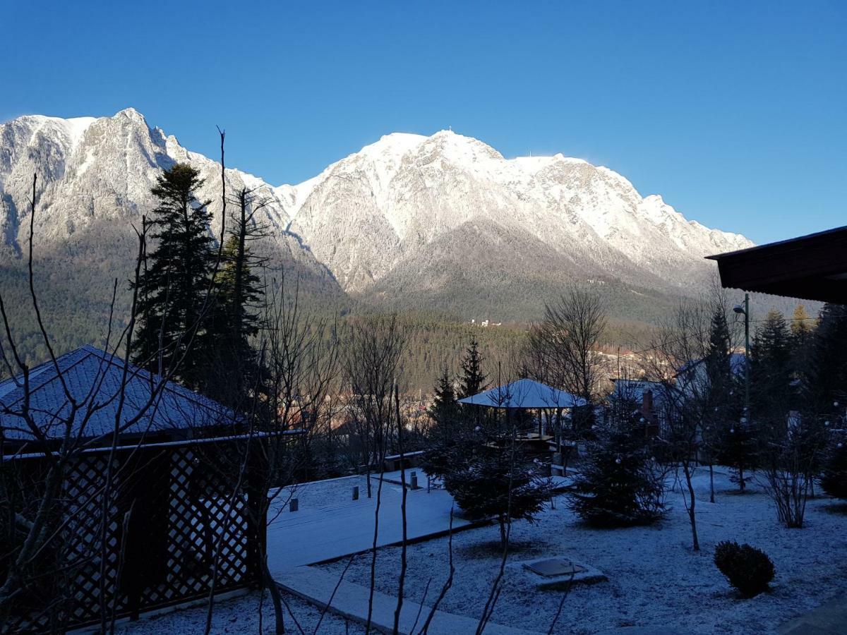 Vila Alunis Buşteni Exteriör bild